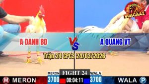 Trận 24 CPC3 24/03/2026 - Bướm Đỏ Đá Đúng 3 Chân Là Bưng Gà Xanh Ra Ngoài