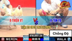 Trận 24 CPC3 26/03/2026 - Bướm Vào Kính Đá Đâm Như Sát Thủ Hạ Xanh Tuyệt Đối