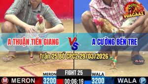 Trận 25 Bồ CPC2 29/3/2026 - Bông Siết 3 Chân Bướm Té Xòe Đuôi