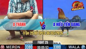 Trận 25 Bồ CPC2 30/3/2026 - Đỏ Đá Xanh Ăn 1 Xanh Gồng Phản Lại Đá Đỏ Chạy