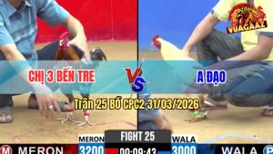 Trận 25 Bồ CPC2 31/3/2026 - Điều Canh Chặn Khôn Khéo Đám Xanh Lọt Cây Xỉu Trên Tay