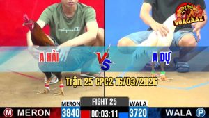 Trận 25 CPC2 16/03/2026 - Điều Xanh Đá Đúng 1 Tay Nước Đâm Uá Oí Chết Trên Tay