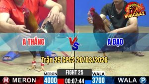 Trận 25 CPC2 20/03/2026 - Xanh Chấp Trạng Nhưng Đá Trên Chân Hạ Đỏ Nhanh Lẹ
