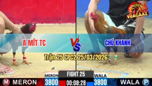Trận 25 CPC2 25/03/2026 - Đỏ Của Mít Đá Vài Chân Khiến Cú Chú Khanh Phải Lật Xe