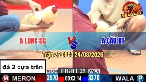 Trận 25 CPC3 24/03/2026 - Úa Băng 2 Cây Trên Đá Như 2 Cây Dưới Vô Trong Xanh Hết Đường Ra