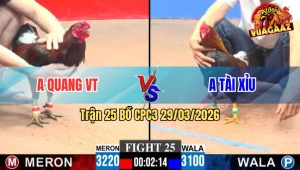 Trận 25 CPC3 29/03/2026 - Gà Xanh Đá Như Con Không Đẻ Lụm Lúa Gà Đỏ