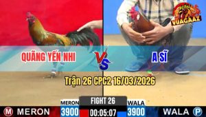 Trận 26 CPC2 16/03/2026 - Điều Râu Nạp Siết Mấy Chân Đâm Que Ngã Xe