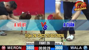 Tran 26 CPC2 21032026 Que Chan Xanh Da Do Nhu Ro Thua Nhanh Gon 1