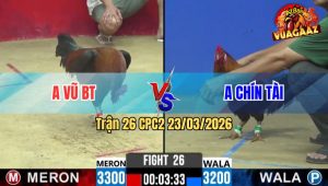 Trận 26 CPC2 23/03/2026 - Đỏ Bươi Chà Đá Xanh Lọt Cây Té Tuyệt Đối
