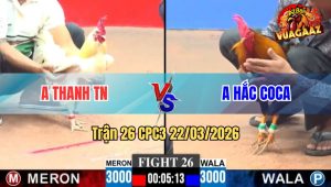 Trận 26 CPC3 22/03/2026 - Khét Gồng Phút 90 Đâm Úa Xỉu Tuyệt Đối
