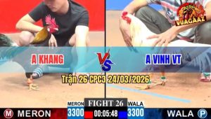 Trận 26 CPC3 24/03/2026 - Bướm Đá Đâm Như Sát Thủ Que Của Khang Bán Bong Bóng