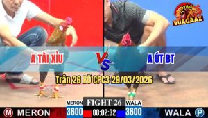 Trận 26 CPC3 29/03/2026 - Xanh Đá Như Sát Thủ Đỏ Chịu Hết Nổi Đầu Hàng