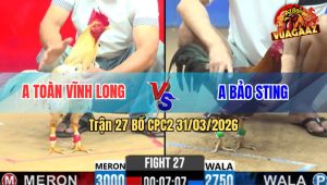 Trận 27 Bồ CPC2 31/3/2026 - Điều Nhập Idol Có Chân Phản Đâm Bướm Lọt Bỏ Chạy