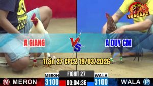 Tran 27 CPC2 19032026 Bong Tranh Ne Dam Ua Lot Cay Oi Bo Chay