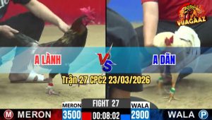 Trận 27 CPC2 23/03/2026 - Úa Chấp Ngông Buông Ra Que Đá Cho Cầm Xe