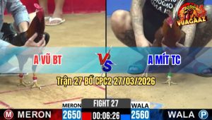 Trận 27 CPC2 27/03/2026 - Khét Quá Trâu Gồng Đá Phản Ăn 1 Trận Gà Quá Hay