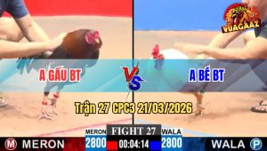 Trận 27 CPC3 21/03/2026 - Úa Cọp Anh Bé Dở Giò Là Đâm Hạ Điều Tuyệt Đối
