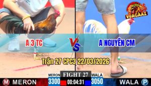 Trận 27 CPC3 22/03/2026 - Khét Gồng Phút 90 Đâm Úa Xỉu Tuyệt Đối