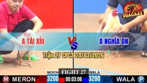 Trận 27 CPC3 24/03/2026 - Gà Đỏ Gãy Cánh Từ Đầu Trận Đá Như Máy Điện Hạ Xanh Tuyệt Đối