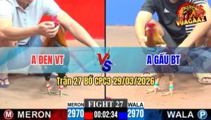 Trận 27 CPC3 29/03/2026 - Đỏ Đá Đâm Như Chĩa Hạ Xanh Ngọt Xớt
