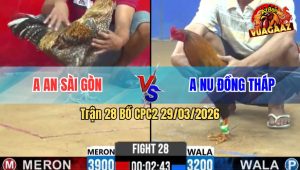 Trận 28 Bồ CPC2 29/3/2026 - Nu Đồng Tháp Chấp 7 Chấm Và Cái Kết