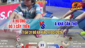 Trận 31 Bồ Xà Xía 27/3/2026 - Đỏ Chấp Quá Ngông Hạ Gà Xanh Nhanh Gọn