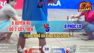 Trận 28 Bồ Xà Xía 27/3/2026 - Đỏ Chấp Ngông 2 Cây Trên Vẫn Hạ Xanh Đẳng Cấp