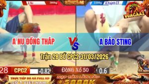 Trận 28 Bồ CPC2 31/3/2026 - Điều Cọp Anh Nu Siết Mấy Chân Kéo Lúa Về Bờ