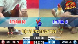 Tran 28 CPC2 19032026 Buom Chua Tha Di Bac Cho Co Buong Ra Dieu Da Cung Minh