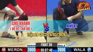Trận 28 CPC2 25/03/2026 - Xanh Bươi Chà Như Cái Máy Đỏ Gãy Giò Lọt Ói Hết Cứu