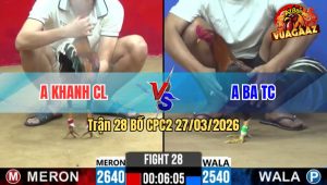Trận 28 CPC2 27/03/2026 - Xanh Đá Siết Mấy Chân Đâm Đỏ Gãy Dò Bưng Ra Nhanh Gọn