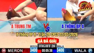 Trận 28 CPC3 22/03/2026 - Đỏ Có Chân Dứt Điểm Lấy 3 Điểm Đầu Tiên