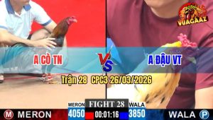 Trận 28 CPC3 26/03/2026 - Xanh Ngông Cuồng Chấp Cọp Xịn Và Cái Kết