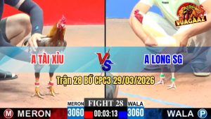 Trận 28 CPC3 29/03/2026 - Đỏ Đá Siết Như Cái Máy Hạ Xanh Tuyệt Đối