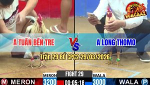 Trận 29 Bồ CPC2 29/3/2026 - Uá Bươi Chà Đâm Bướm Cây Lưng Oí Chết Hết Cứu