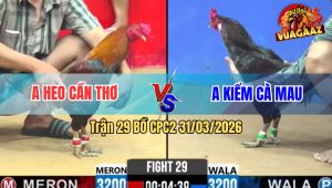 Trận 29 Bồ CPC2 31/3/2026 - Que Phá Đôi Đáng Tiếc Điều Hòa May Mắn