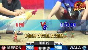 Tran 29 CPC2 21032026 Ua Da Chan Nao Cung Dam Que Oi Chet Het Cuu 1