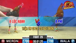 Trận 29 CPC2 23/03/2026 - Đỏ Cáp Ngông Buông Ra Xanh Đá Mấy Chân Rinh ra Ngoài