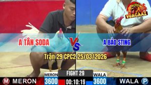 Trận 29 CPC2 25/03/2026 - Úa Giao Nạp Quá Tốt Bưng Gà Khét Idol Ra Sân