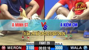 Trận 29 CPC2 27/03/2026 - Camelo Đá Lọt Cây Quá Nặng Đâm Úa Chân Xanh Ói Xỉu