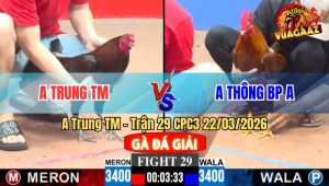 Trận 29 CPC3 22/03/2026 - Khét Đá Như Xe Đụng Đâm Que Cứng Mình Chạy La Miệng