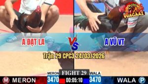 Trận 29 CPC3 24/03/2026 - Đỏ Đâm Toàn Mu Lưng Hạ Gà Xanh Nhanh lẹ