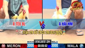 Trận 29 CPC3 28/03/2026 - Xanh Đá Quá Hay Tèo Bảo Lộc Cũng Phải Bó Tay