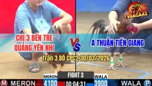 Trận 3 Bồ CPC2 30/3/2026 - Vàng Điềm Tĩnh Đá Đâm Cây Xám Chạy Bung Bồ