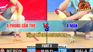 Trận 3 Bồ CPC2 31/3/2026 - Xanh Đá Cây Lưng Đỏ Lọt Xỉu Hết Cứu
