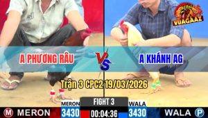 Tran 3 CPC2 19032026 Ua Da Siet May Chan Dam Dieu Xiu Tai Cho