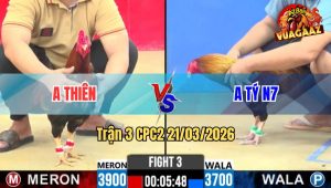 Tran 3 CPC2 21032026 Do Da Cay Qua Nghiet Xanh Lot Roi Tu Do 1