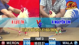 Trận 3 CPC2 27/03/2026 - Anh Kiểm Quá Hừng Buông Ra Đá Đối Thủ Không Có Đường Sửa