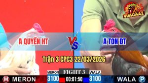 Trận 3 CPC3 22/03/2026 - Điều Cọp Canh Chặn 1 Tay Nước Đâm Bướm Lật Xe Nhanh Gọn