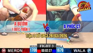 Trận 3 CPC3 28/03/2026 - Kèo Hẹn TikTok Ra Sân Đá Đầy Gay Cấn